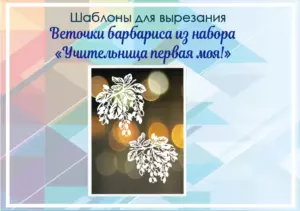 превью шаблонов веточки барбариса